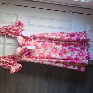 Alamour Resort  Perlita Pink floral dress (size large)